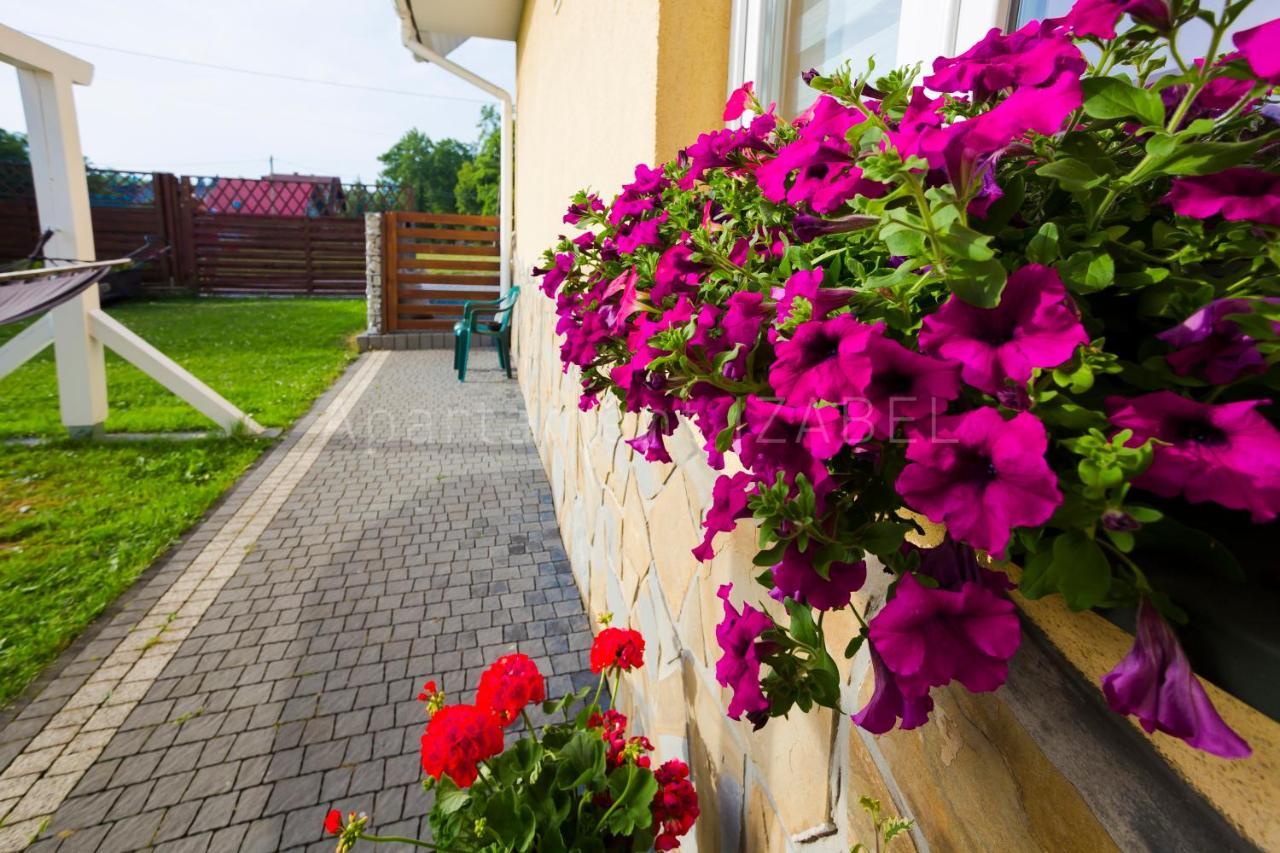 Apartament Izabel Nowy Targ Zewnętrze zdjęcie